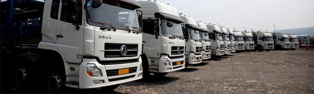 Long row of white trucks parked in a yard