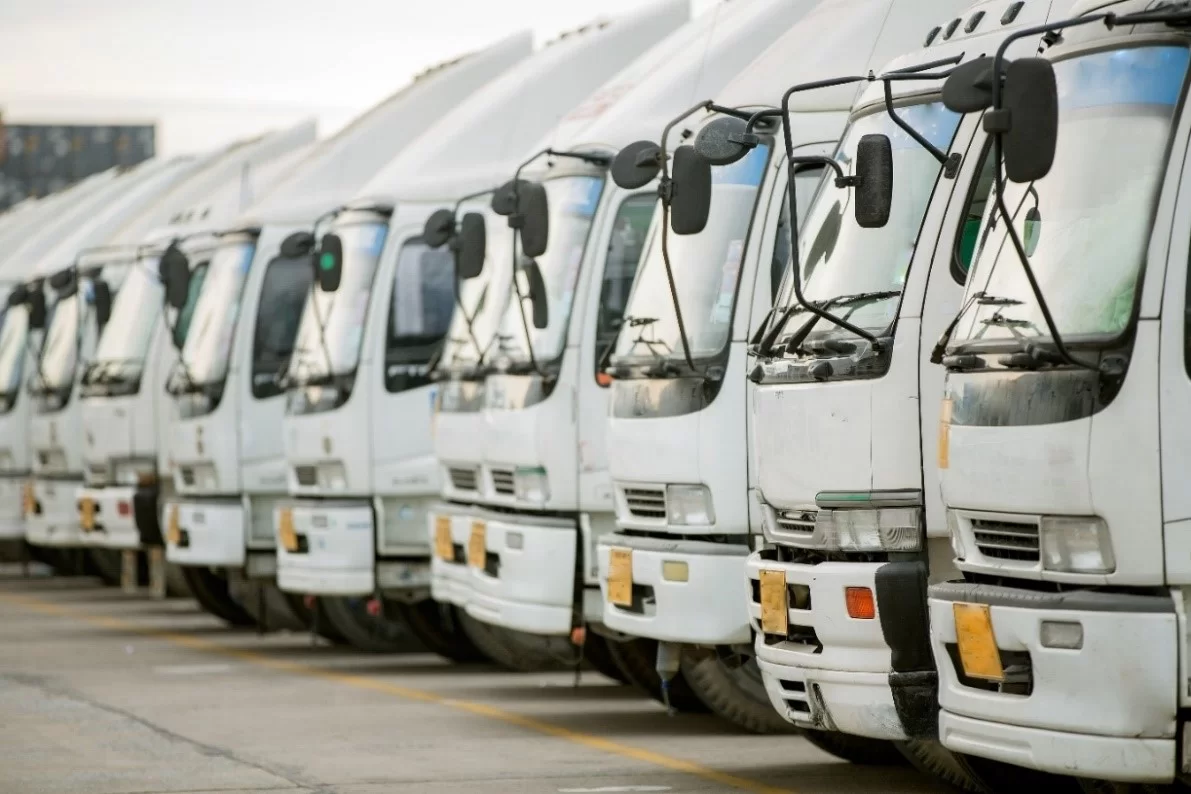 Row of white trucks parked in a fleet yard