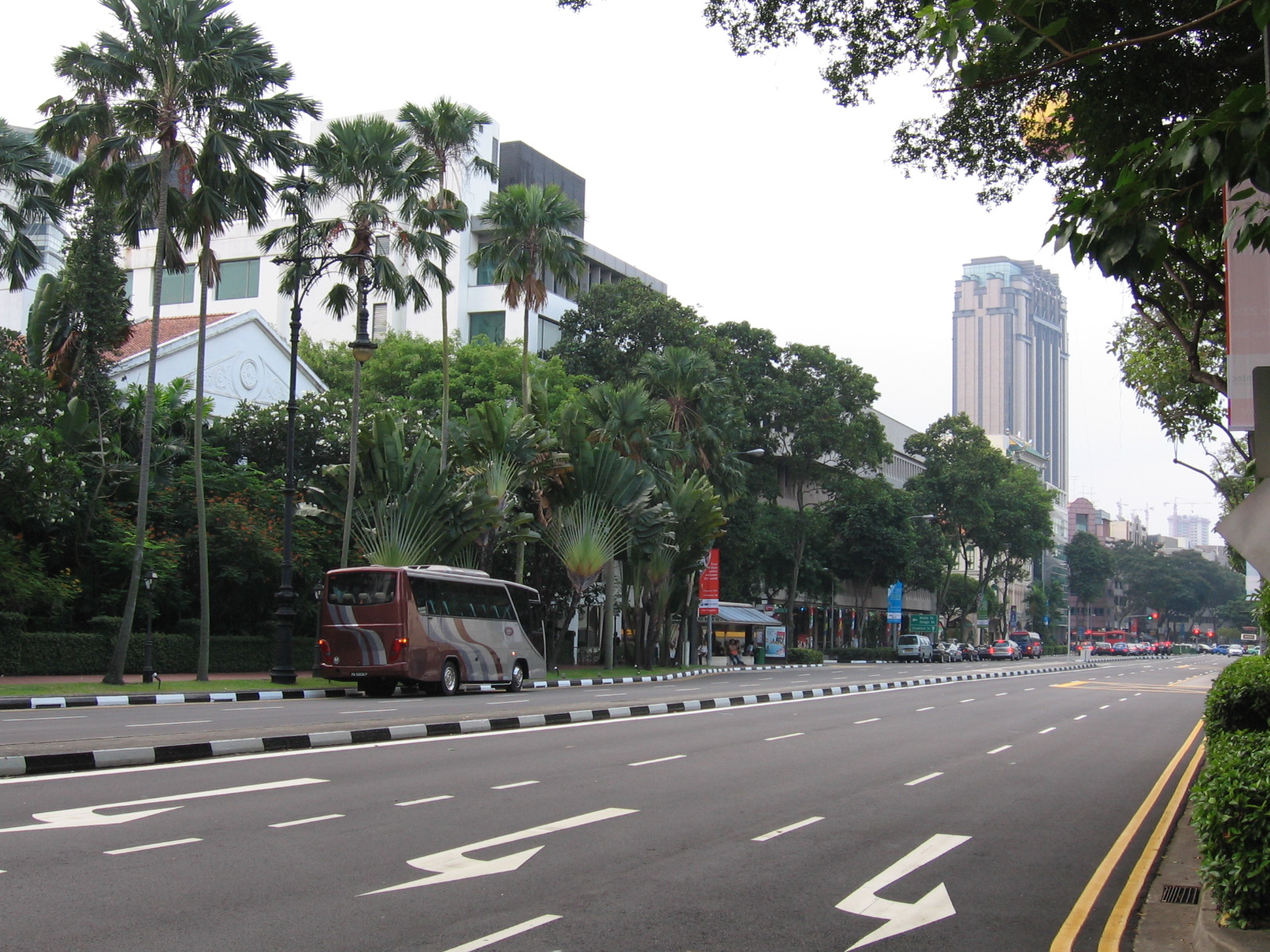 Why Speed Limiters Matter in Singapore