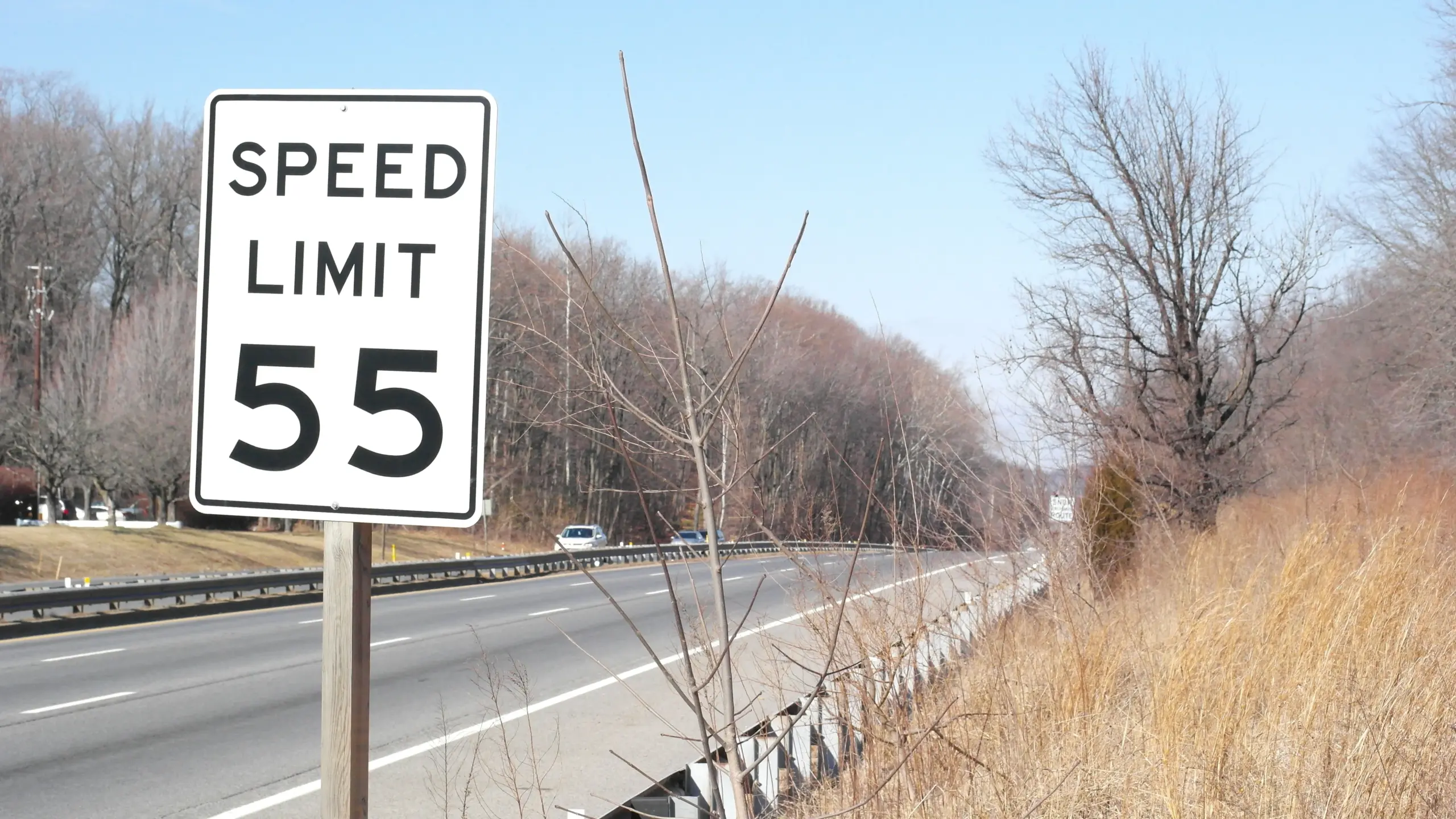 New York Speed Limiter & Speeding Laws
