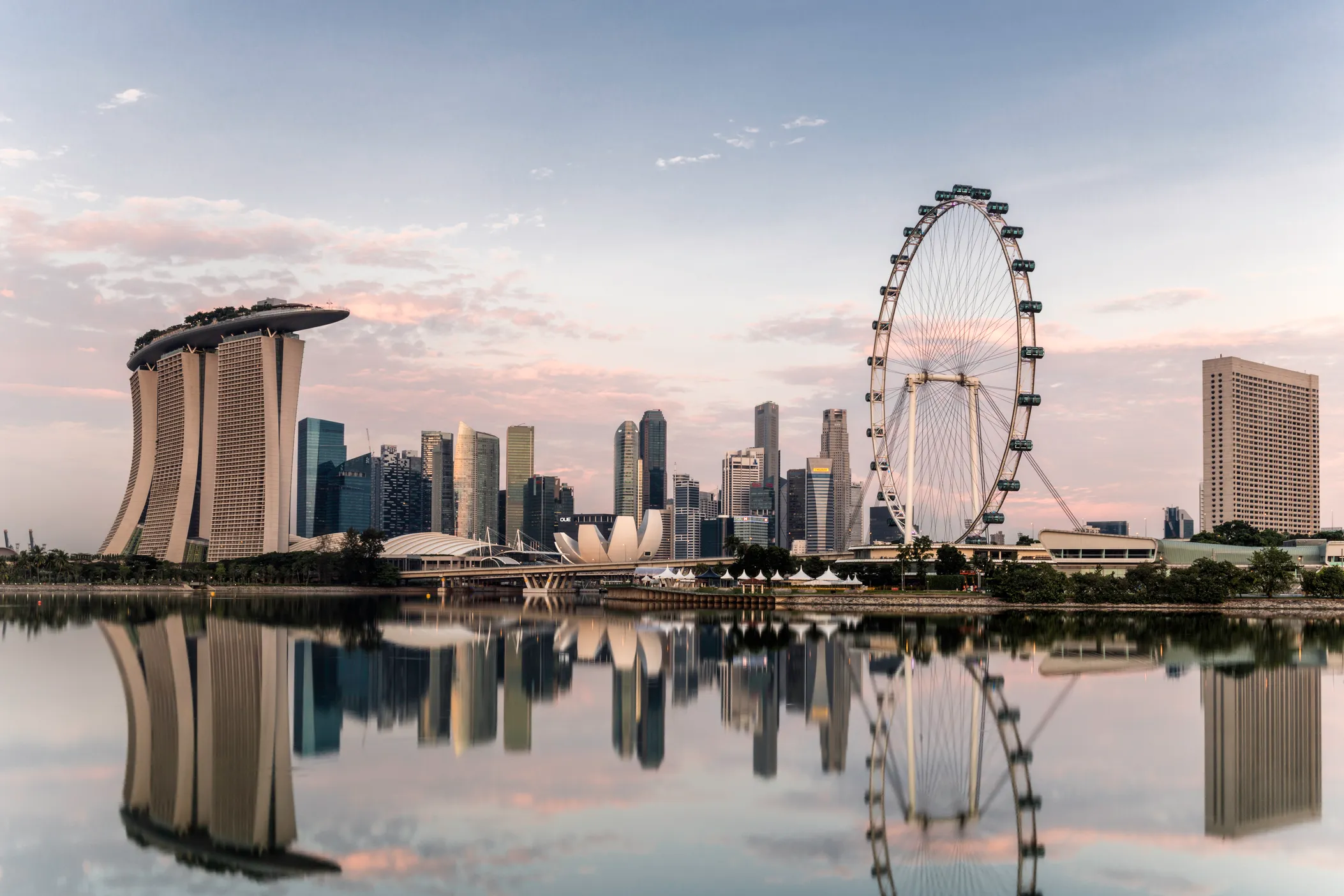 Why the PSG Grant for Speed Limiters Exists